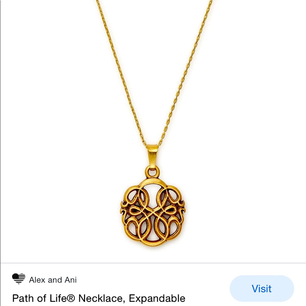Alex and Ani Path of Life Pull Chain Necklace
